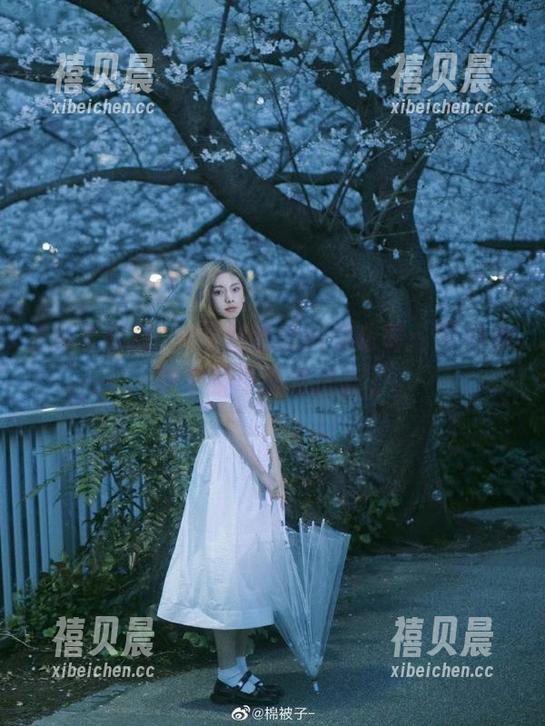 冲哥精选黑料俱乐部：网页点进来就不要想出去了