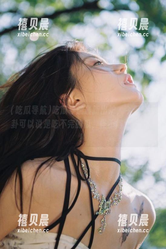 吃瓜导航 吃瓜导航最新出炉,今天的八卦可以说是吃不完的瓜,怪不得大家上头!