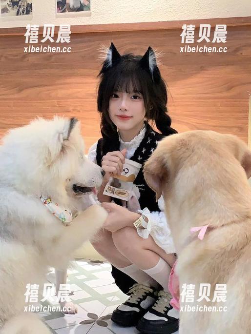 黑料不打烊tttzzz苹果版：从入口到结尾，全程低调奢华有内味儿