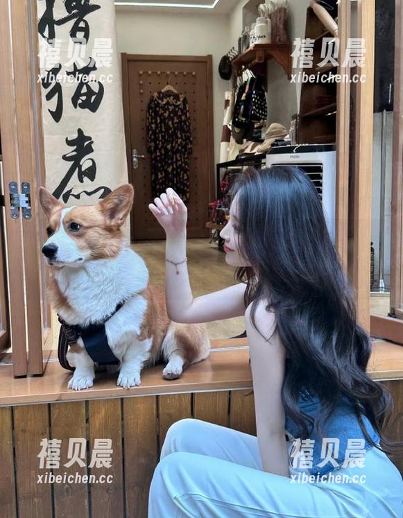 黑料不打烊 来吧,免费的吃瓜神器,黑料不打烊,今日的八卦都是新鲜出炉!